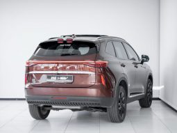 
										2024 Haval H6 1.5T Hybrid Ultra Luxury DHT full									