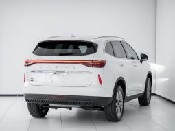 
										2024 Haval H6 2.0T Super Luxury 4X4 DCT full									