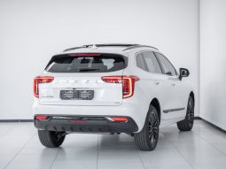 
										2024 Haval Jolion 1.5T S Super Luxury DCT full									