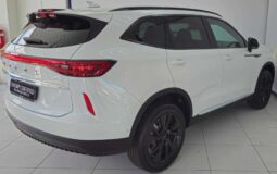 
										2023 Haval H6 1.5T Hybrid DHT Ultra Luxury full									